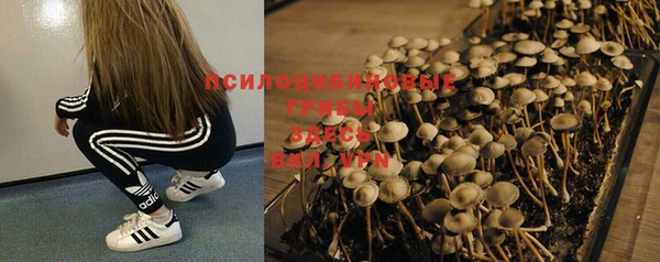 каннабис Новокубанск